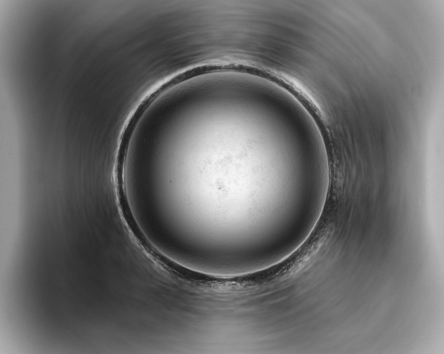 X0000094380943200711021223