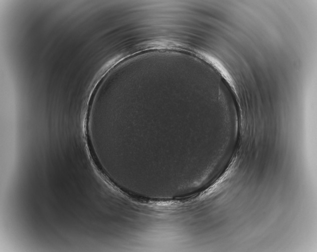 X0000094380946200711021223