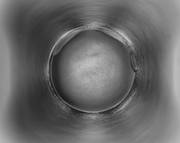 X0000094380948200711021223