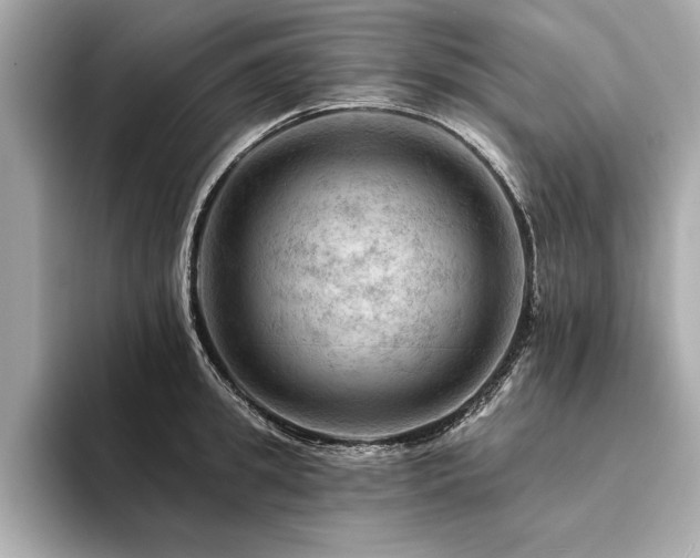 X0000094380949200711021223