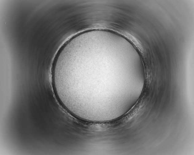 X0000094380950200711021223