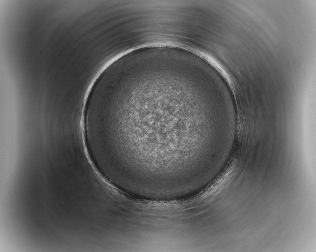 X0000094380951200711021223