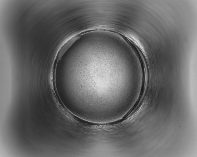 X0000094380952200711021223