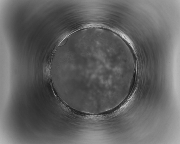 X0000094380953200711021224