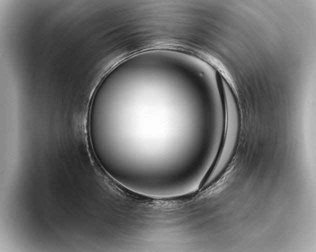 X0000094380954200711021224