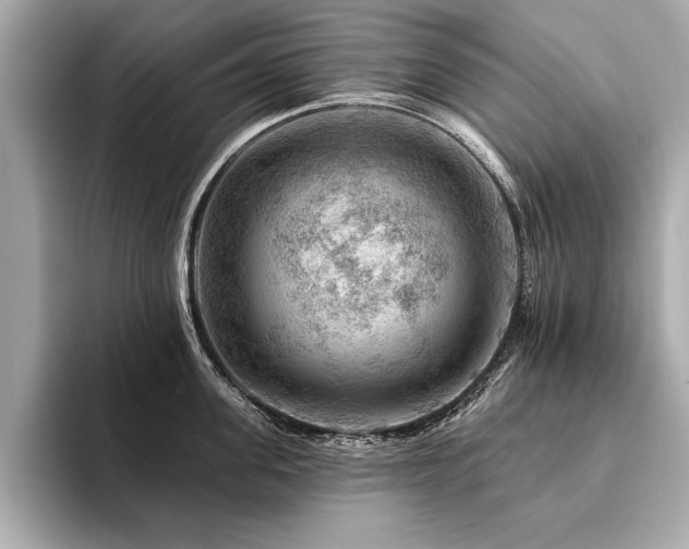 X0000094380955200711021224