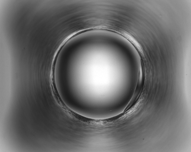 X0000094380956200711021224