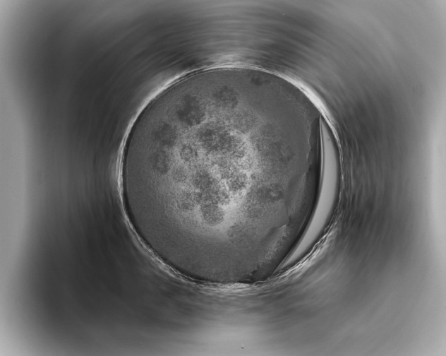 X0000094380957200711021224