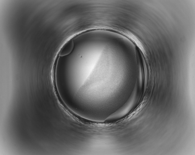 X0000094380958200711021224