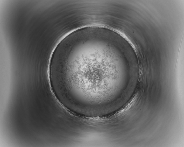 X0000094380959200711021224