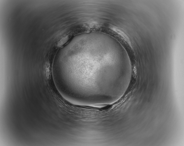 X0000094380963200711021223