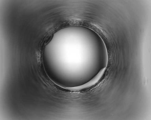 X0000094380964200711021223