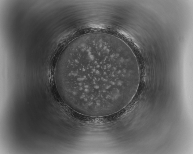 X0000094380966200711021223