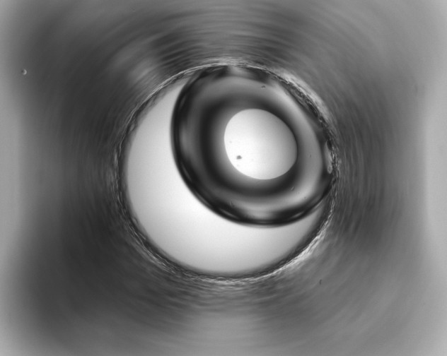 X0000094380969200711021223