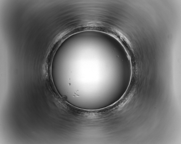 X0000094380970200711021223