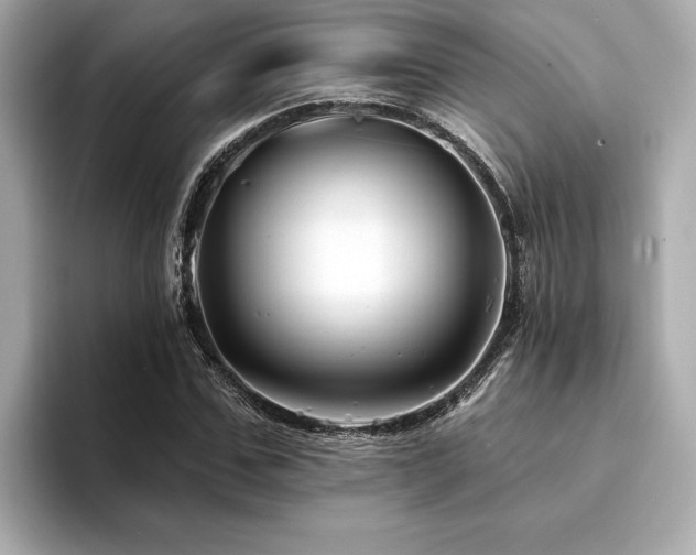 X0000094380971200711021223