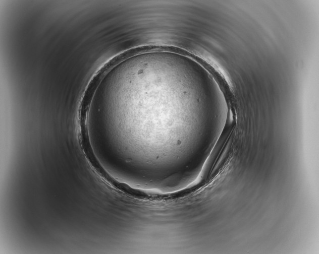 X0000094380972200711021223