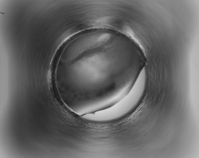 X0000094380975200711021223