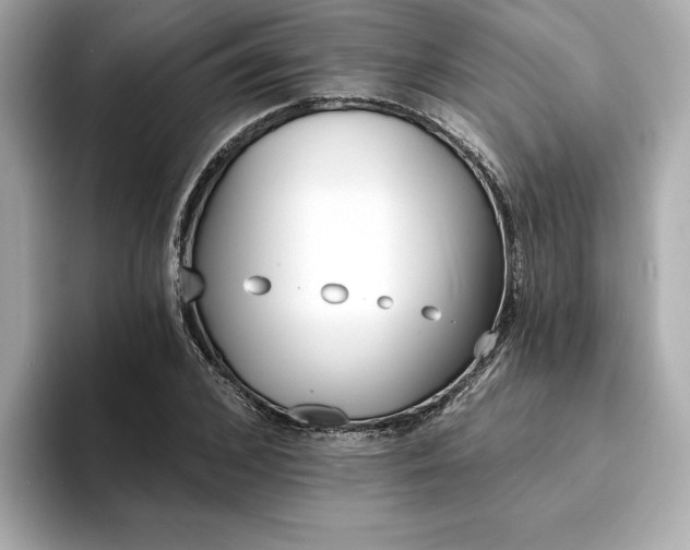 X0000094380976200711021223