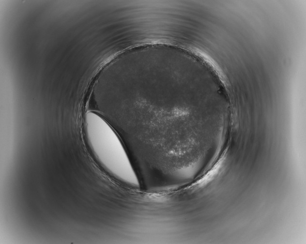 X0000094380977200711021223