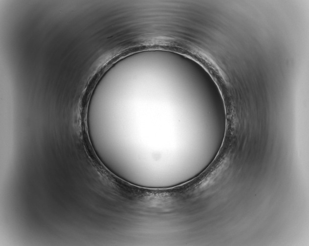 X0000094380978200711021223