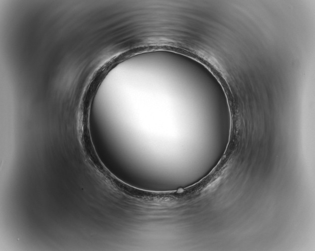 X0000094380979200711021223