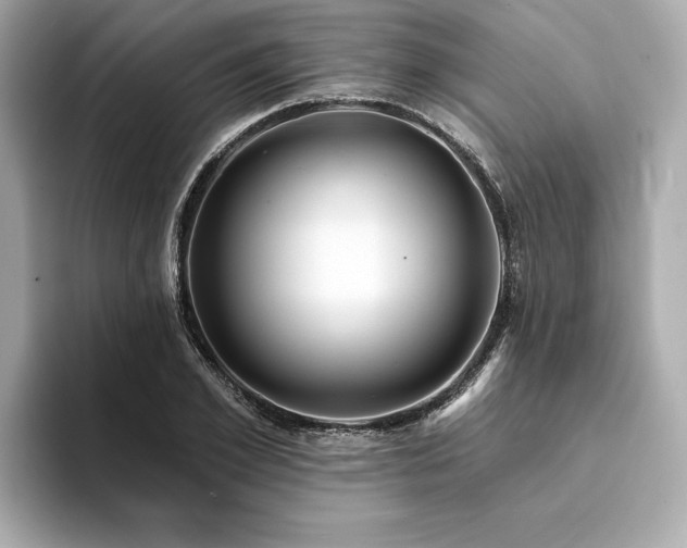 X0000094380981200711021223
