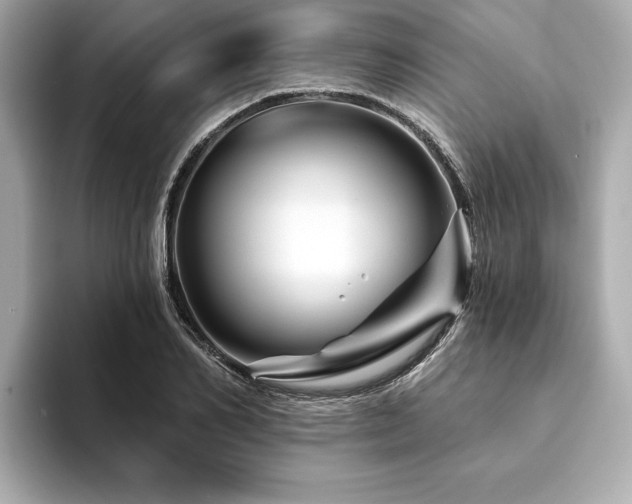 X0000094380982200711021223