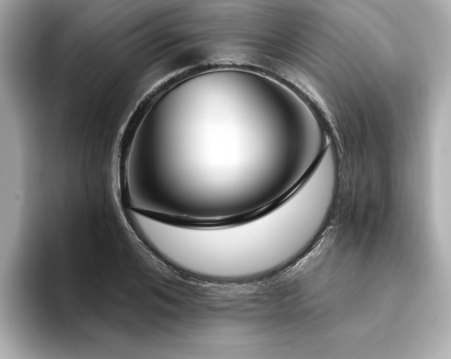 X0000094380984200711021223
