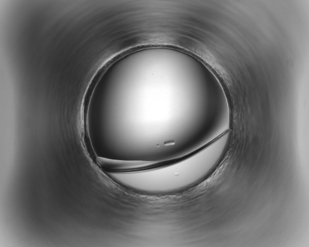 X0000094380988200711021223