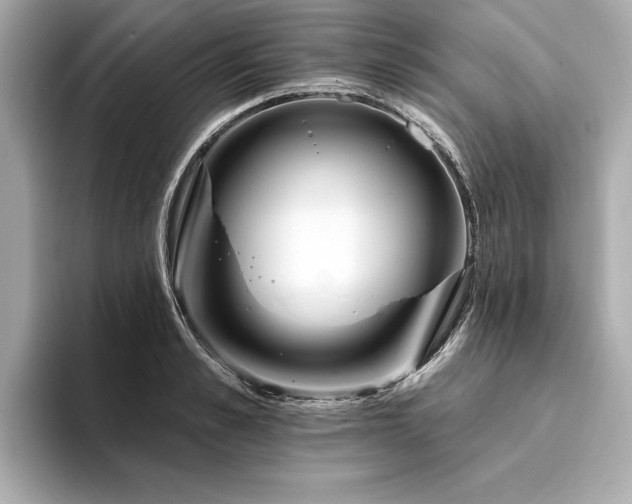 X0000094380989200711021223