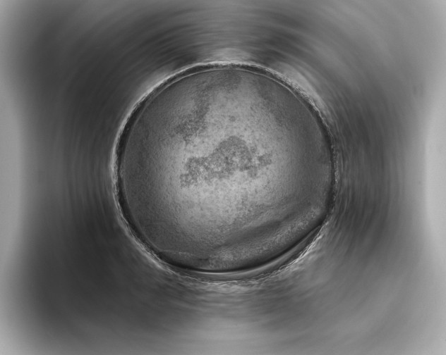 X0000094380990200711021223