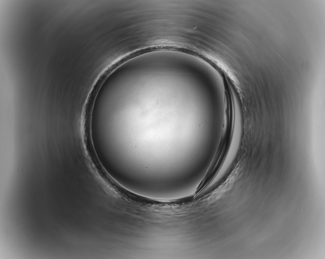 X0000094380991200711021223