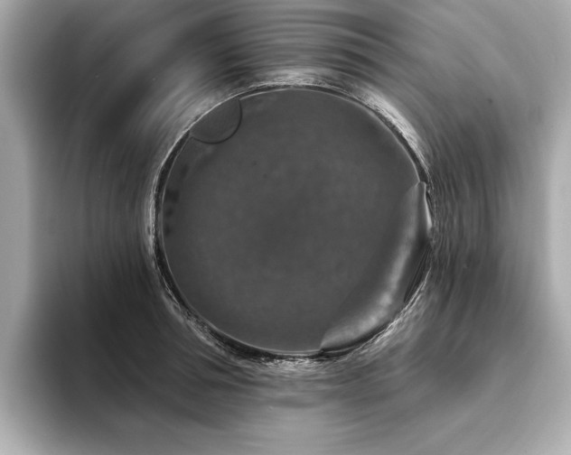 X0000094380994200711021223