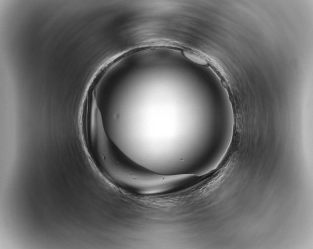 X0000094380995200711021223