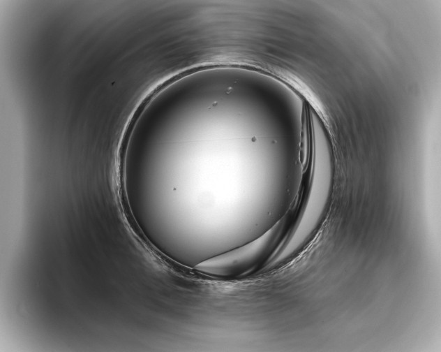 X0000094380996200711021223