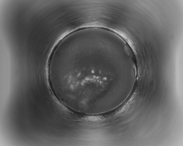 X0000094380998200711021223