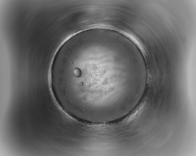 X0000094380999200711021223