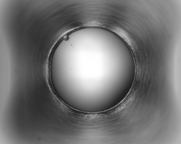 X0000094381000200711021223