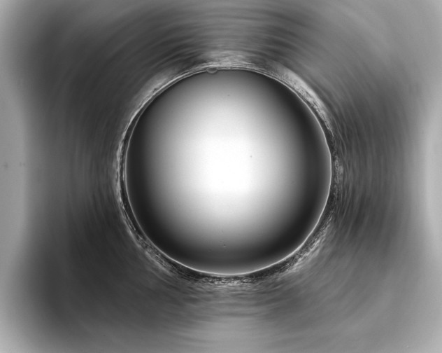 X0000094381002200711021223