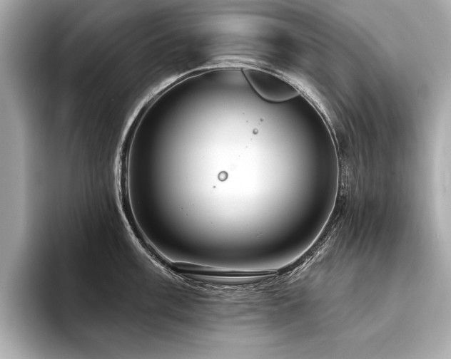 X0000094381003200711021223