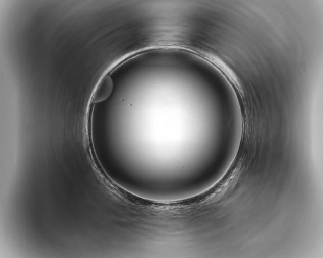 X0000094381004200711021223
