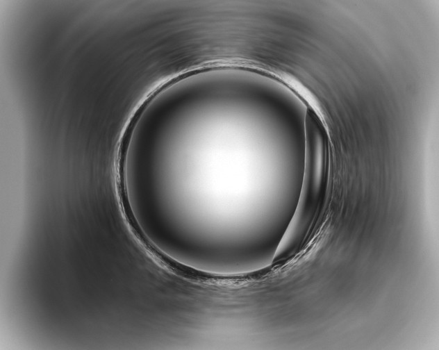 X0000094381005200711021223