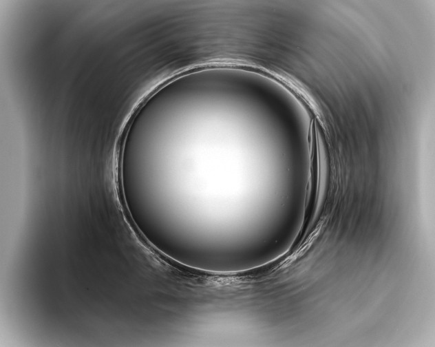 X0000094381006200711021222