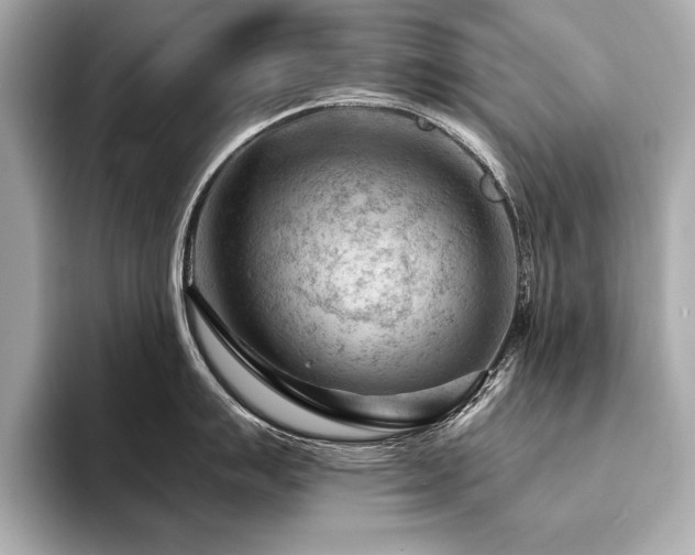 X0000094381007200711021222