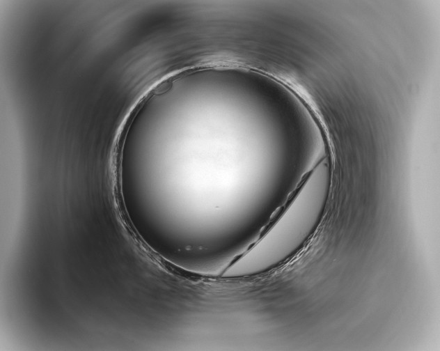 X0000094381008200711021222