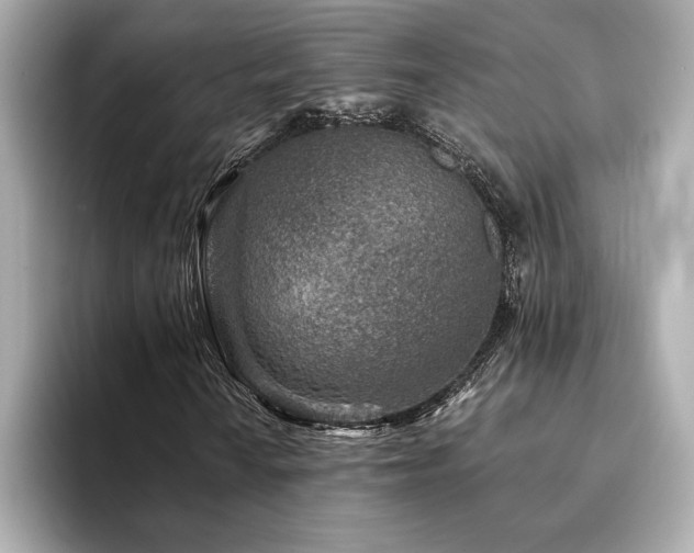 X0000094381010200711021222