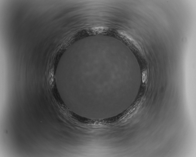 X0000094381011200711021222