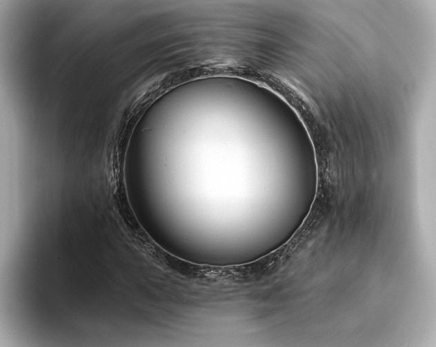 X0000094381015200711021222