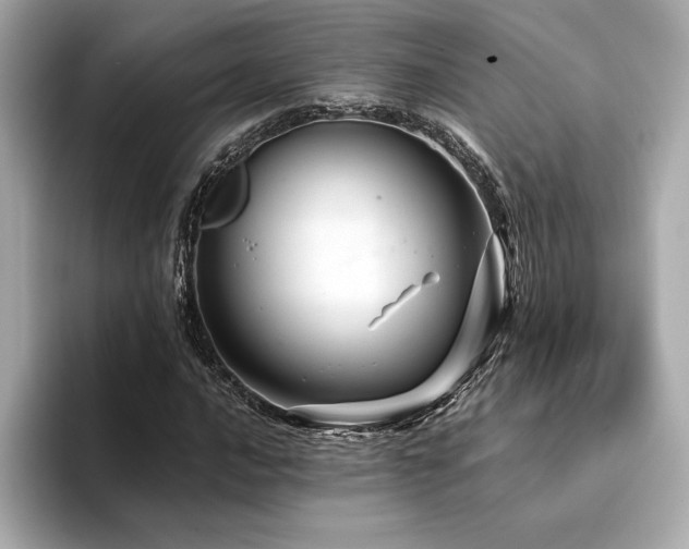 X0000094381016200711021222